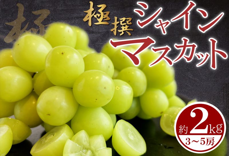 【先行予約】シャインマスカット 約2kg（3～5房） 丸亀産