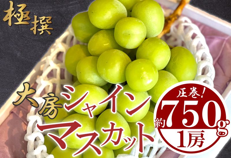  大房 シャインマスカット 1房 約750g 丸亀産