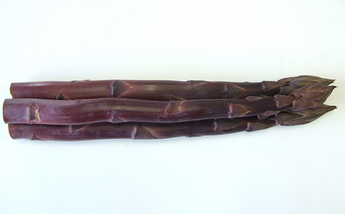 アスパラガス 超貴重 紫アスパラガス 約800g 丸亀産 アスパラ 希少 幻 野菜 旬 旬の野菜 季節の野菜 産地直送 香川 香川県 丸亀 丸亀市 冷蔵 冷蔵配送 先行 予約 先行予約 2026 2026年 3月以降発送開始