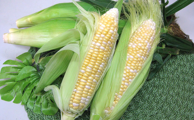 スイートコーン　5kg
