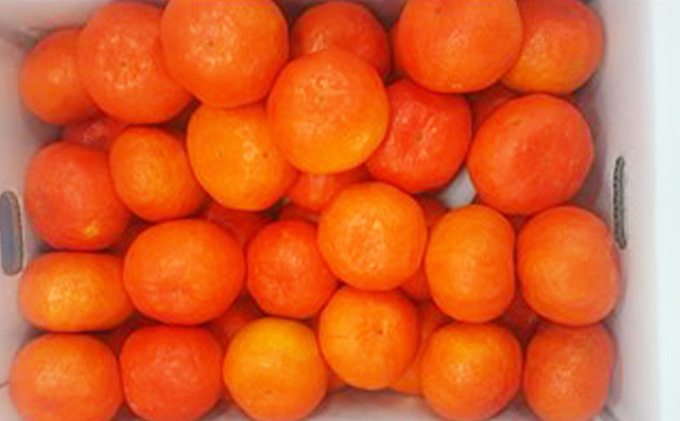 丸亀産　紅みかん約5kg