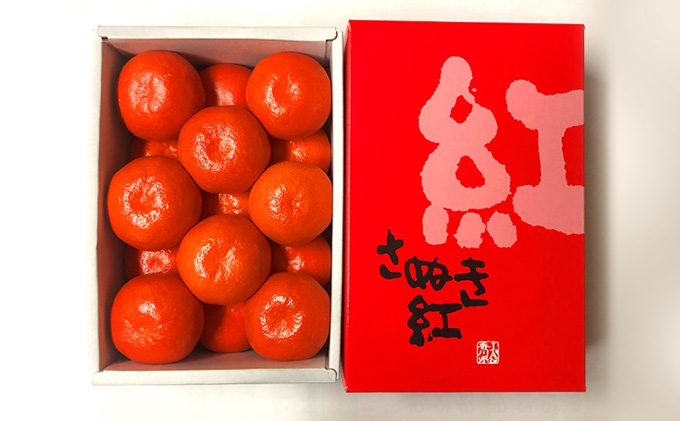 ハウス小原紅早生みかん（約1.2kg）