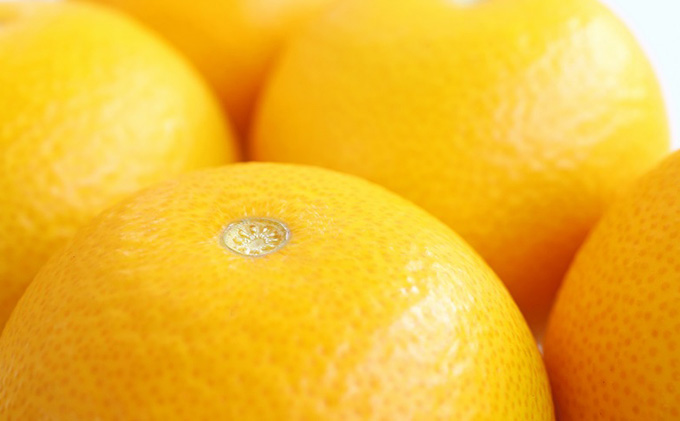 丸亀産はっさく約10kg