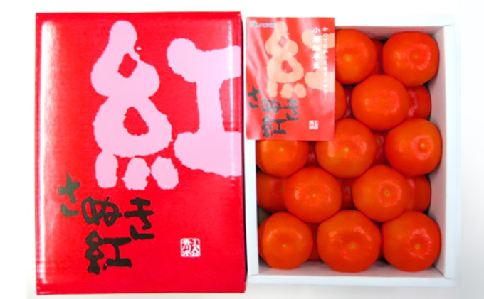 ハウス小原紅早生みかん（約2.4kg）