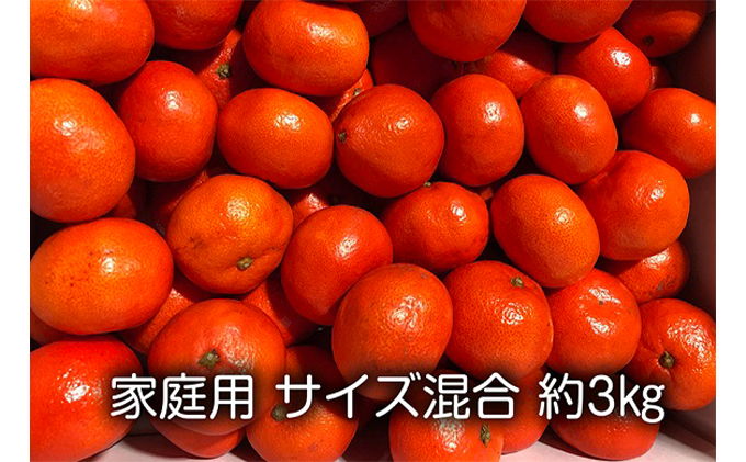 家庭用　小原紅早生みかん（サイズ混合　約3kg）