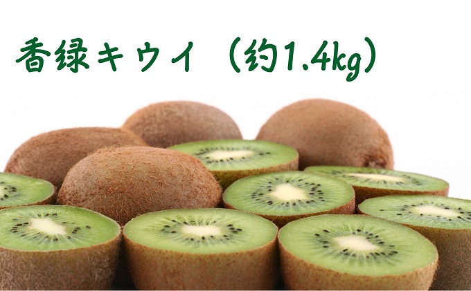 香緑キウイ（約1.4kg）