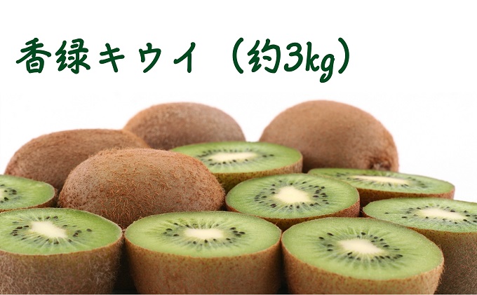 香緑キウイ（約3kg）