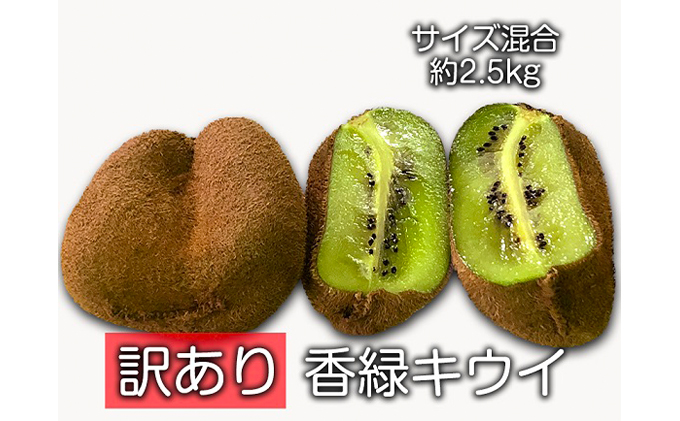 訳あり香緑キウイ（サイズ混合　約2.5kg）