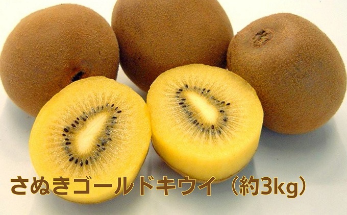 さぬきゴールドキウイ（約3kg）