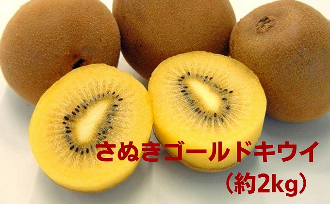 さぬきゴールドキウイ（約2kg）