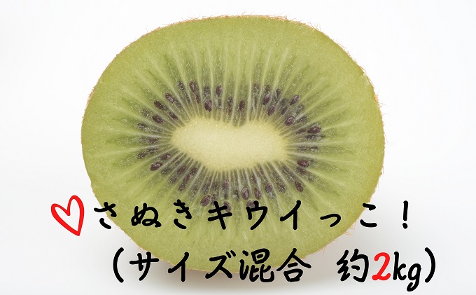 さぬきキウイっこ（サイズ混合　約2kg）