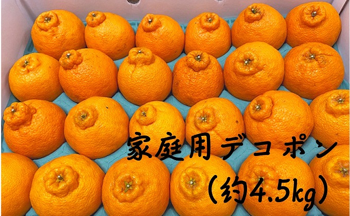 家庭用デコポン（約4.5kg）