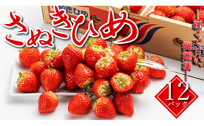 いちご 先行予約 秀品 さぬきひめ 約250g × 12パック 丸亀の紅い宝石 フルーツ 果物 デザート 旬 産地直送 旬の果物 旬のフルーツ お取り寄せ 取り寄せ 冷蔵 冷蔵配送 先行 予約 2月上旬以降発送開始