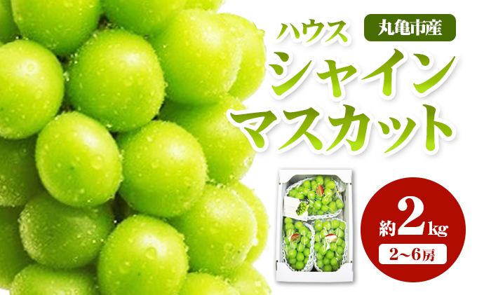 ハウスシャインマスカット　約2kg