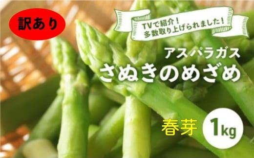 【訳あり】【先行予約】 アスパラガス さぬきのめざめ 春芽 1kg アスパラ グリーンアスパラ 野菜 やさい 旬 旬の野菜 季節の野菜 産地直送 香川 香川県 丸亀 丸亀市 冷蔵 冷蔵配送 疲労回復 免疫力向上 食物繊維 ビタミンC 柔らかい 甘い 料理 おかず アスパラベーコン巻き 炒め フライ ポタージュ ふるさと納税アスパラ ふるさと納税野菜 株式会社五色青果 春芽 約1kg  寄付額：10,000円