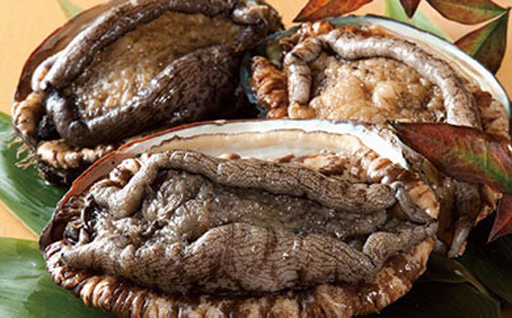 瀬戸内あわび（活）500ｇ（1個90ｇ前後）