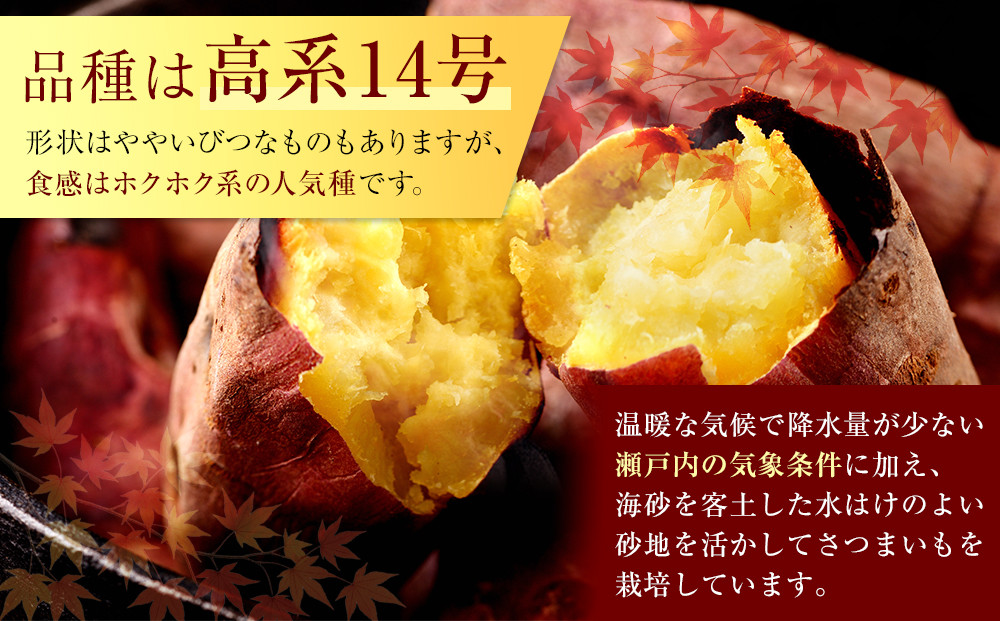 ＜2026年8月下旬以降発送・先行予約＞ホクホク系さつまいも「坂出金時いも」約5kg×2箱　2L～Mサイズ