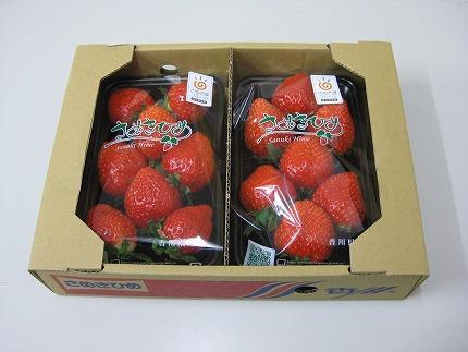 さぬきひめ苺　約250g×2パック