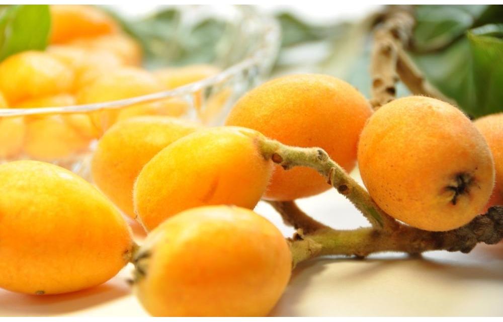 びわ 坂出市産 約1.6kg ( 4パック × 2箱 )｜初夏の味覚