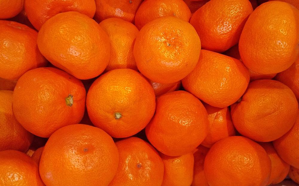 小原紅早生みかん 約5kg（約30～60個）