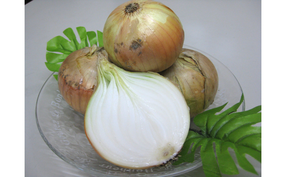 ＜2026年3月下旬以降発送・先行予約＞極早生たまねぎ 約10kg