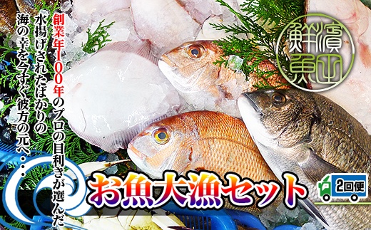 【定期便2回】創業100年の魚屋さんが選び抜いた旨い鮮魚直送便～