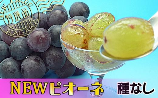 《2026年発送》シャインマスカット & ニューピオーネ セット 約2kg ( 種なしシャインマスカット 約1kg & 種なしニューピオーネ 約1kg ) 香川産 ｜ぶどう マスカット 人気品種 コラボ