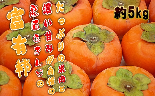 一度は食べたい香川産の完熟富有柿の詰め合わせ約5kg