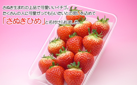 香川県オリジナル品種！さぬき姫いちご6パック