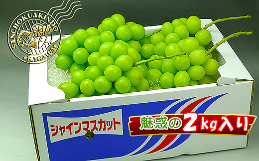 《2026年発送》特秀品シャインマスカット2kgの詰め合わせ