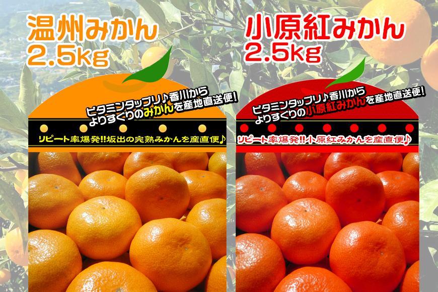 ≪先行受注≫小原紅早生 & 完熟温州 セット 約5kg ( 小原紅早生みかん約2.5kg & 完熟温州みかん約2.5kg ) S ～ Lサイズ ｜ みかん