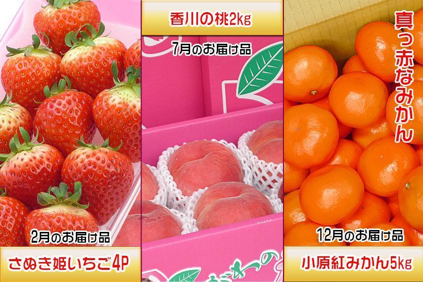 【定期便3回Aコース】 フルーツ セット 定期便 ( いちご 約250g × 4パック & 桃 約2kg & みかん 約5kg × 3ヶ月 )  ｜産直あきんど 坂出産 創業100年