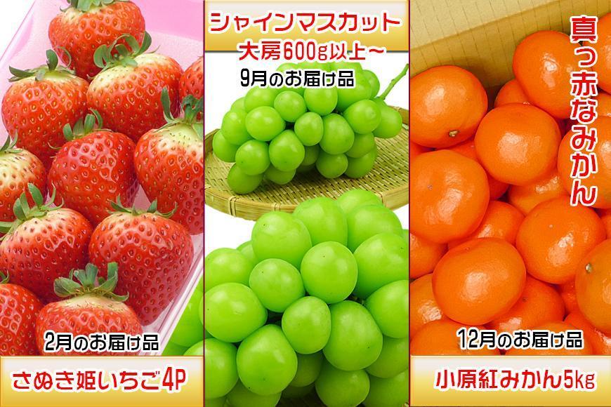 【定期便3回Bコース】 フルーツ セット 定期便 ( いちご 約250g × 4パック & シャインマスカット 1房 約600g以上 & みかん 約5kg × 3ヶ月 ) ｜産直あきんど 坂出産 創業100年