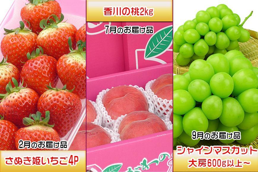 【定期便3回Cコース】 フルーツ セット 定期便 ( いちご 約250g × 4パック & 桃 約2kg & シャインマスカット 1房 約600g以上 × 3ヶ月 ) ｜産直あきんど 坂出産 創業100年