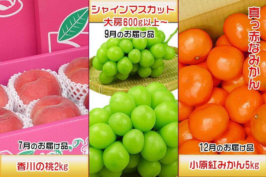 【定期便3回Dコース】 フルーツ セット 定期便 ( 桃 約2kg & シャインマスカット 1房 約600g以上 & みかん 5kg × 3ヶ月 ) ｜産直あきんど 坂出産 創業100年