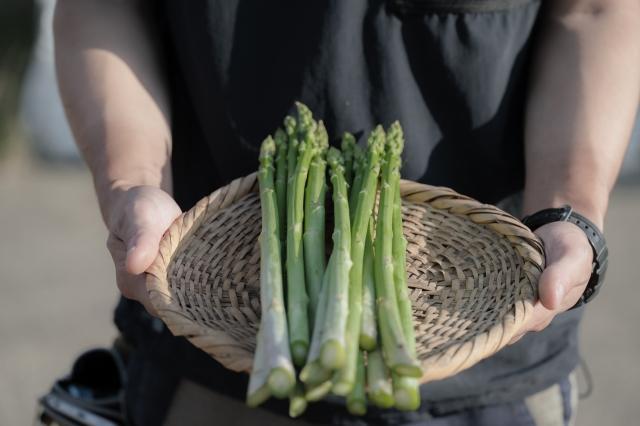 アスパラガス さぬきのめざめ 香川県産 約1kg ( 約35本 ～ 60本 ) ｜ さぬき ブランド野菜