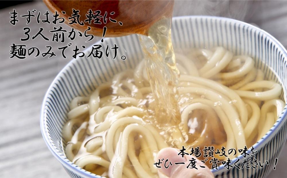 さぬきまるふじ　生うどん　3人前　麺のみ