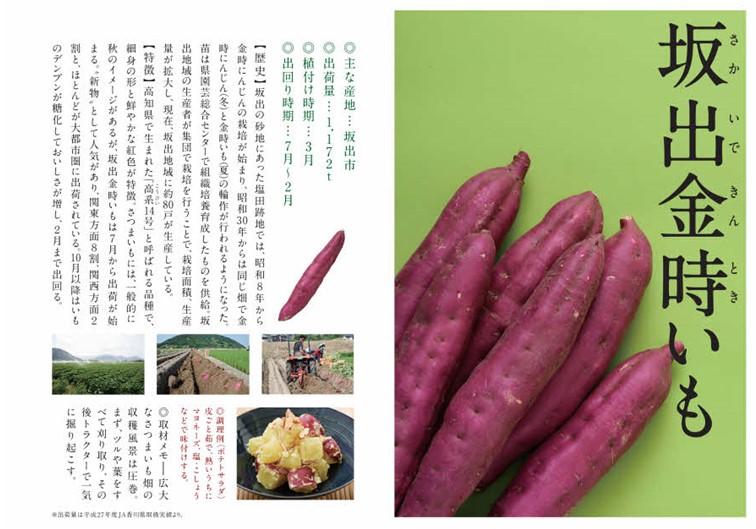 讃岐野金時芋焼酎 「姫尊（ひめみこ）」37度