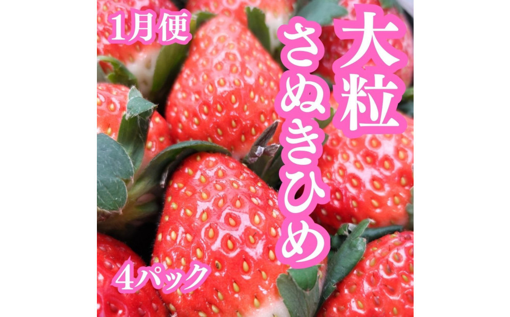 【定期便全３回】冬の美味しい果物