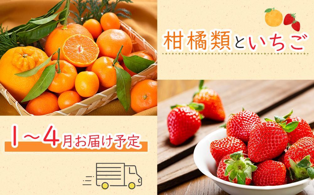 【お中元ギフト/化粧箱・熨斗対応】旬を見極めた厳選フルーツ詰め合わせ 【半月セット】（3～5品種）