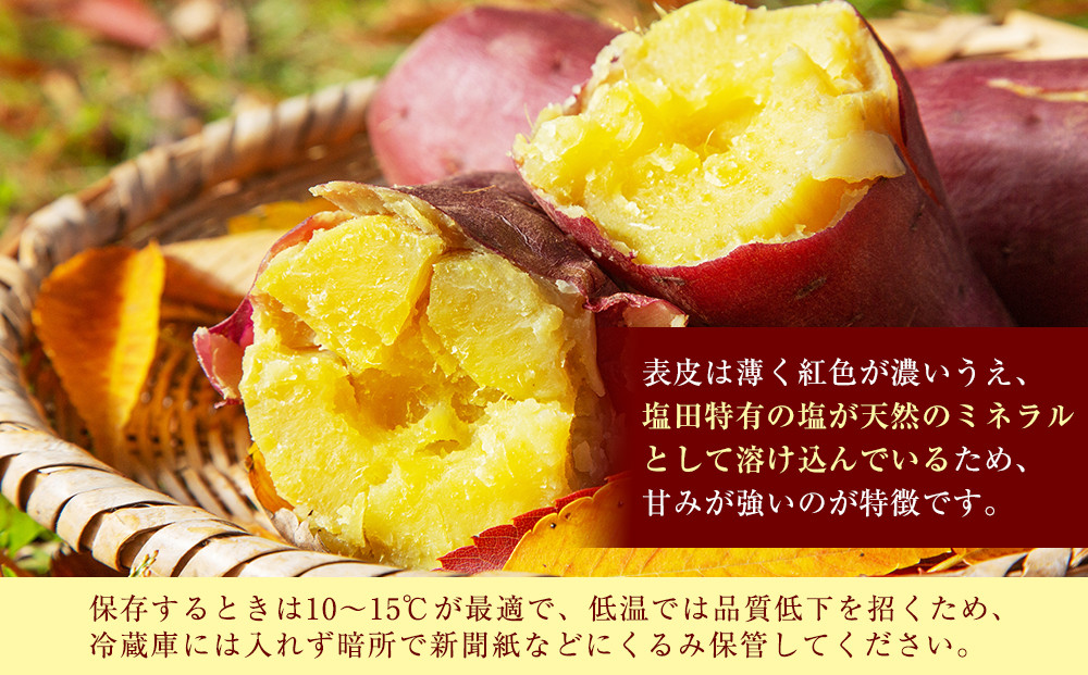 ＜2026年8月下旬以降発送・先行予約＞ホクホク系さつまいも「坂出金時いも」約5kg×2箱　2L～Mサイズ
