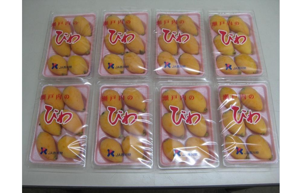 びわ 坂出市産 約1.6kg ( 4パック × 2箱 )｜初夏の味覚