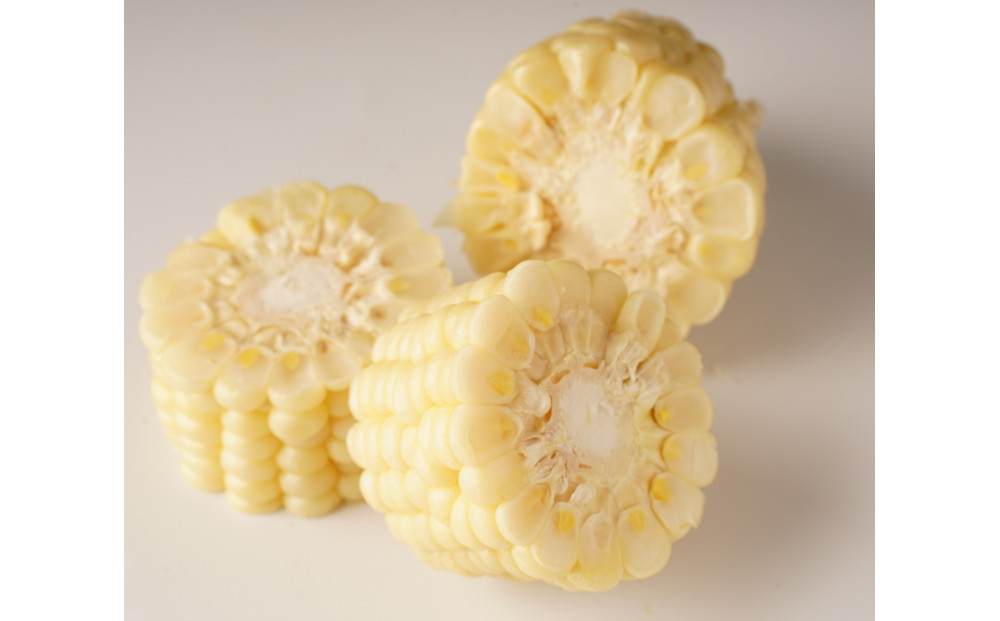 ＜2026年6月中旬以降発送・先行予約＞とうもろこし ホワイトコーン 約2.5kg×2