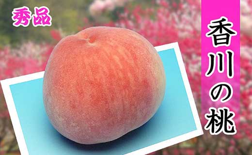 ＜滴る果汁とあふれる果肉が自慢＞香川産の桃 4kgセット【先行予約・2026年6月下旬より順次発送】