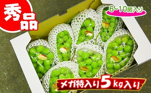 《2026年発送》大粒 シャインマスカット セット 秀品 約5kg ( 6～10房 )  2026年発送 ｜ 香川産 ぶどう マスカット