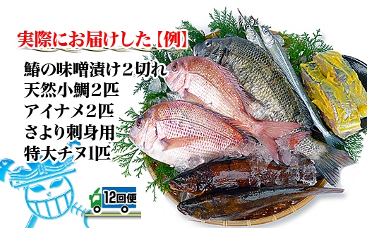 【定期便12回】創業100年の魚屋さんが選び抜いた旨い鮮魚直送便～