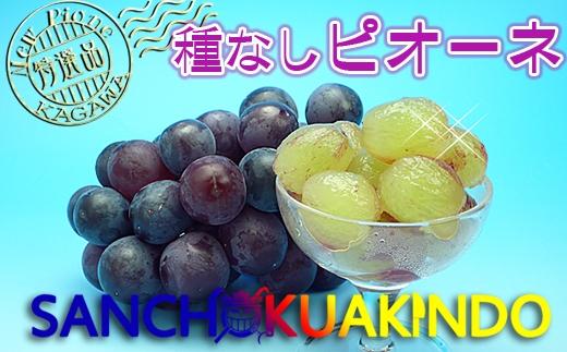 《2026年発送》ニューピオーネ 秀品 2kg ( 約3 ~ 5房 )  ｜ぶどう 香川産 人気品種
