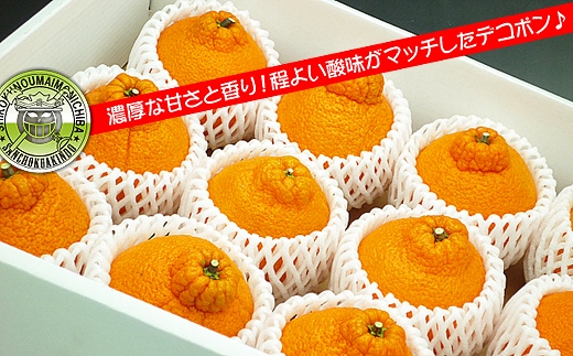 香川のあま～いデコポン［不知火］3kgの詰め合わせ