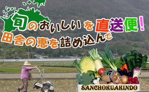 創業100年！老舗の八百屋がチョイスした厳選やさいと旬の果物の詰め合わせ