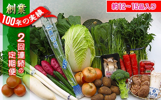 〈定期便2回〉創業100年！老舗の八百屋がチョイスした厳選やさいと旬の果物の詰め合わせ